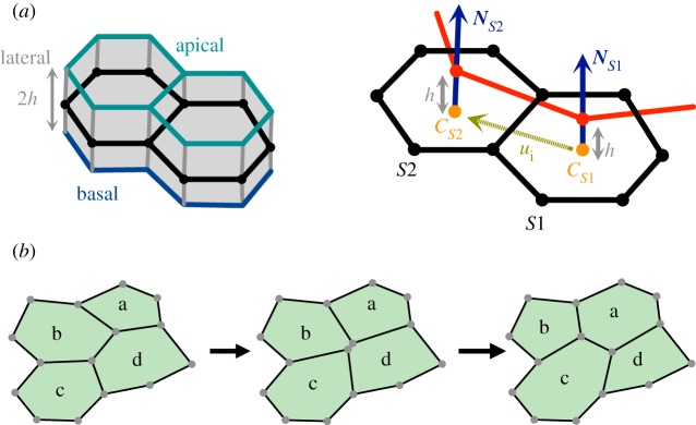 Figure 3.