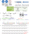 Extended Data Fig. 8