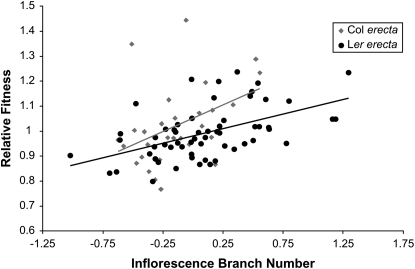 Figure 3.—