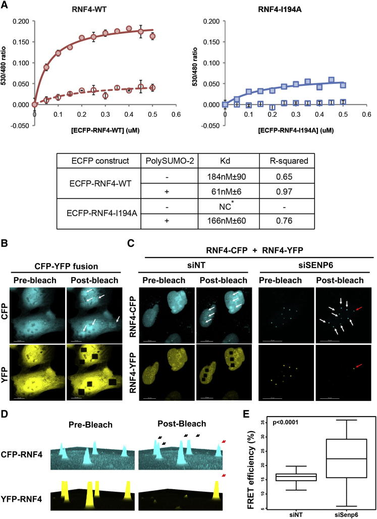 Figure 6