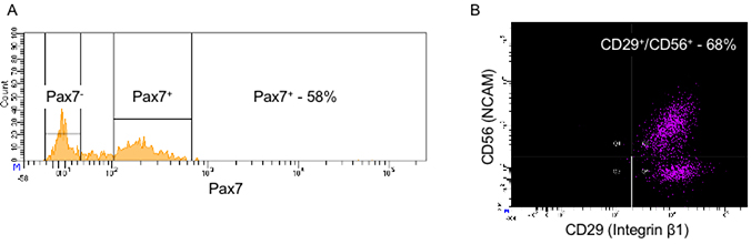 Figure 4: