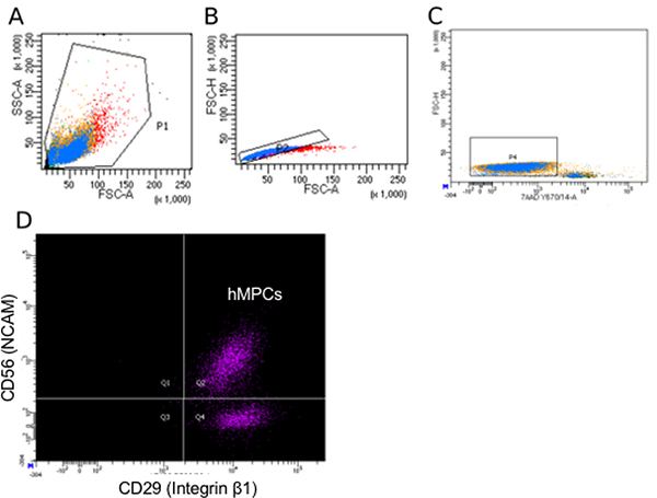 Figure 3: