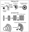 FIG. 13