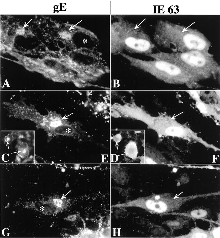 FIG. 11