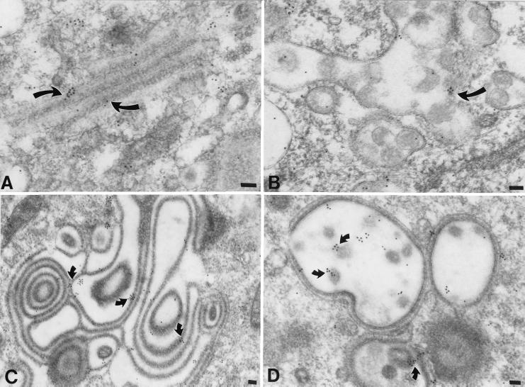 FIG. 10