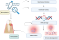Intricate potential pathways of entry of microplastics into the periodontium