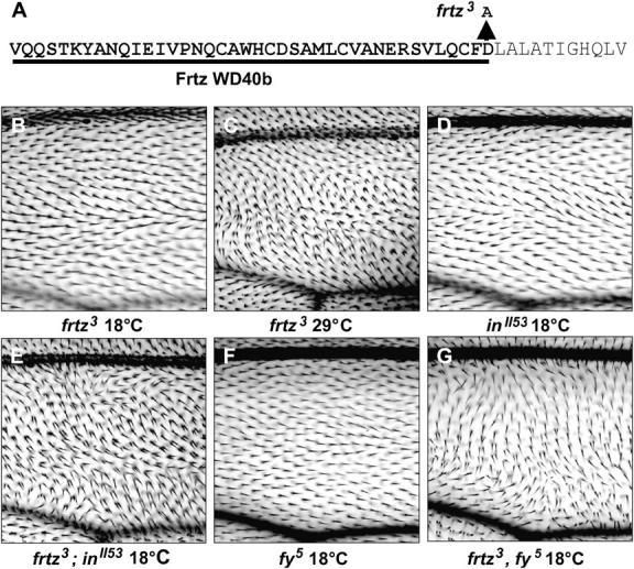 Figure 7.—