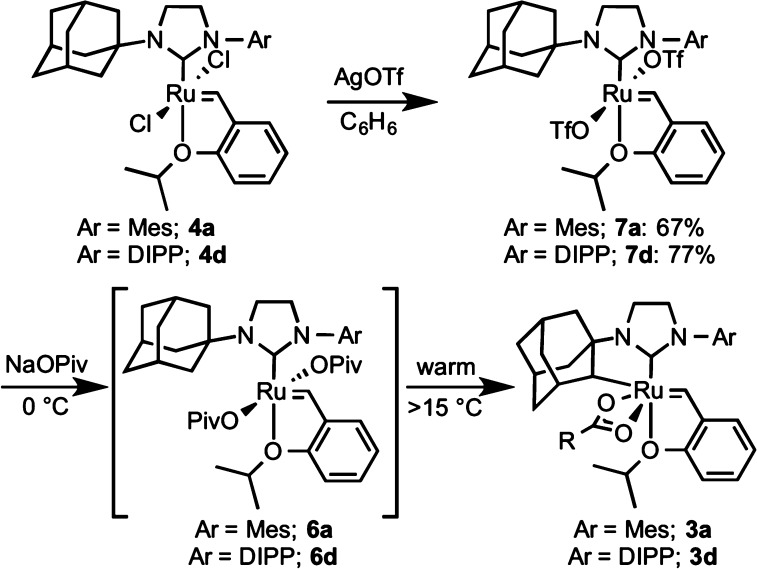 Scheme 4