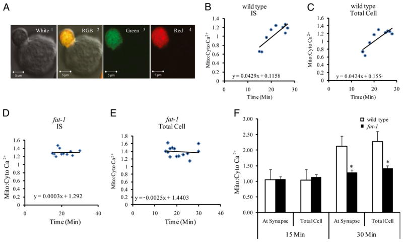 FIGURE 4