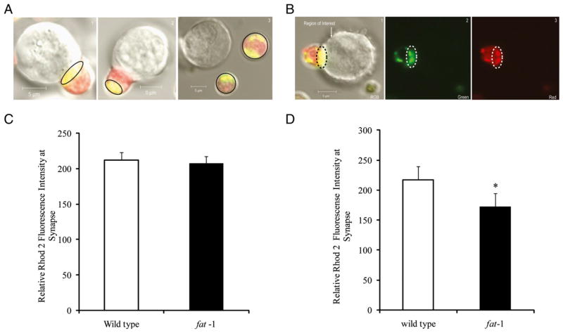 FIGURE 3