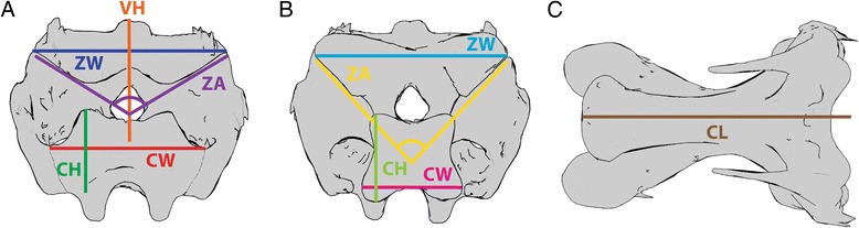 Fig. 4