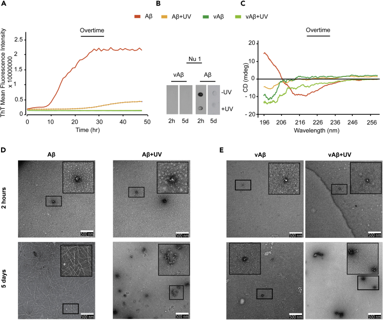 Figure 4