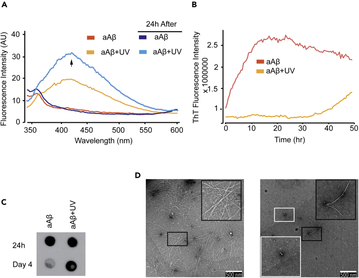 Figure 6