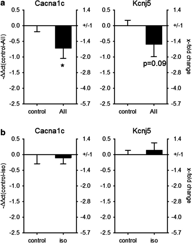 Fig. 6