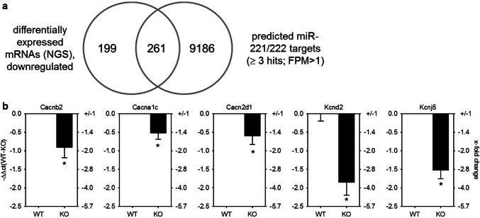 Fig. 4