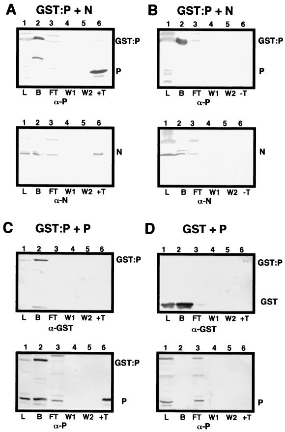 FIG. 7