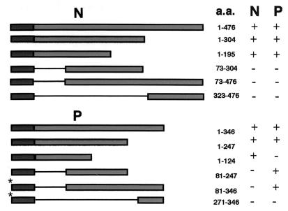 FIG. 9