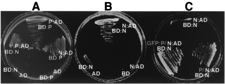 FIG. 8