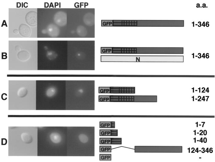 FIG. 6