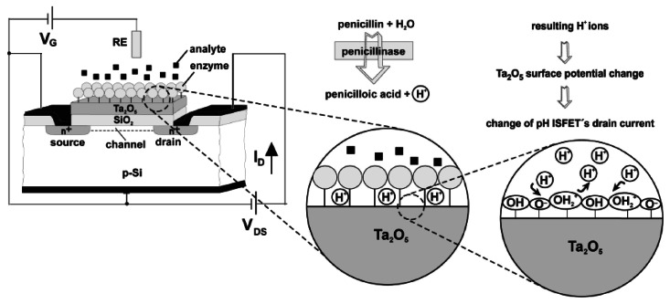 Figure 7.