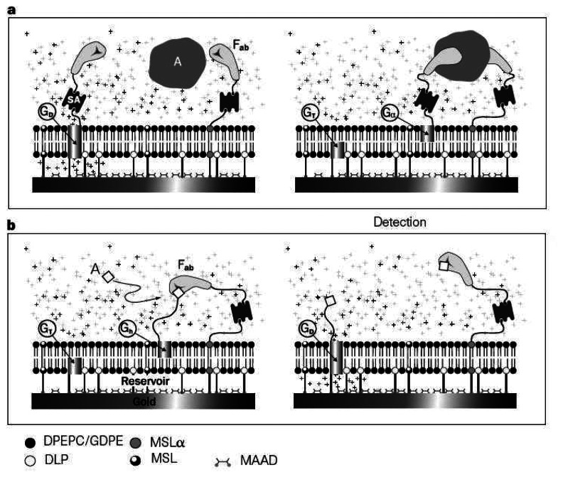 Figure 24.