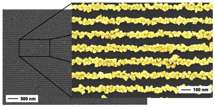 Figure 13.