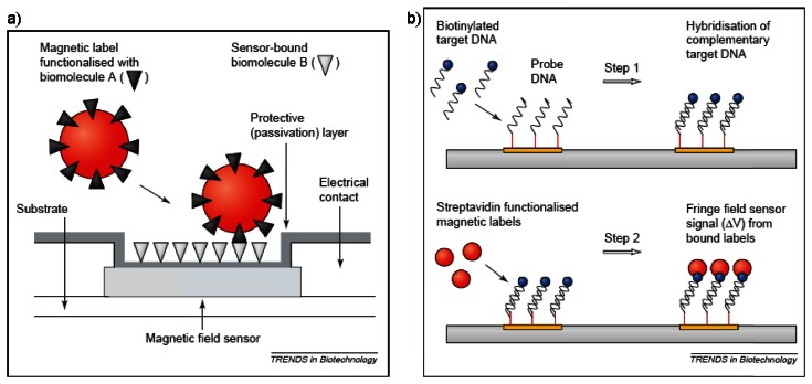 Figure 20.