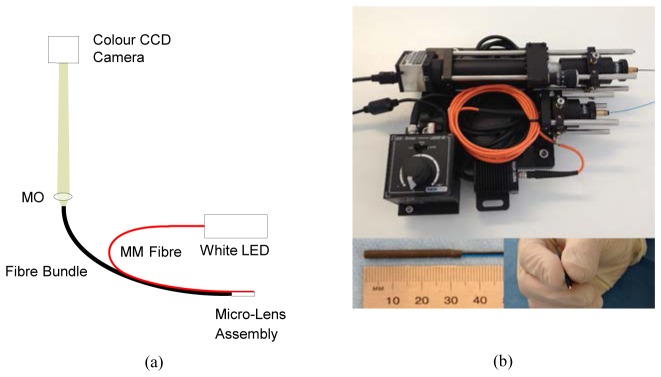 Fig. 1