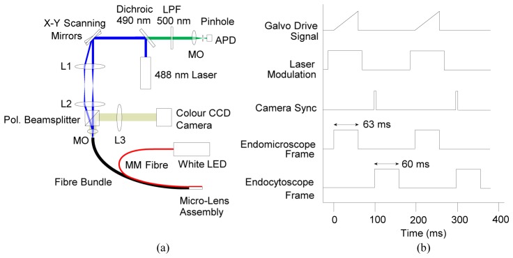 Fig. 2