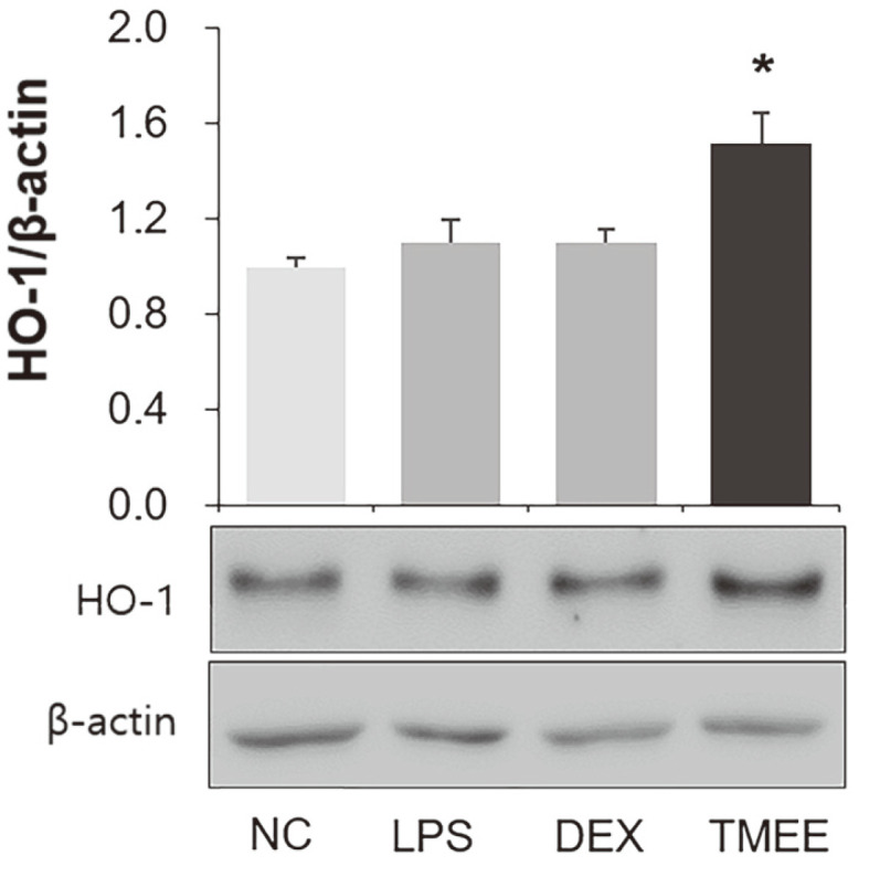 Fig. 11