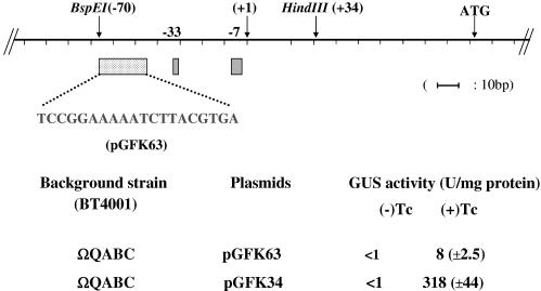 FIG. 5.