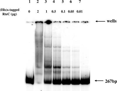 FIG. 7.