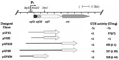 FIG. 2.