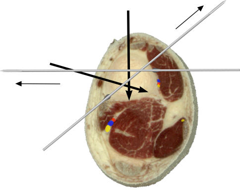 Fig. 7