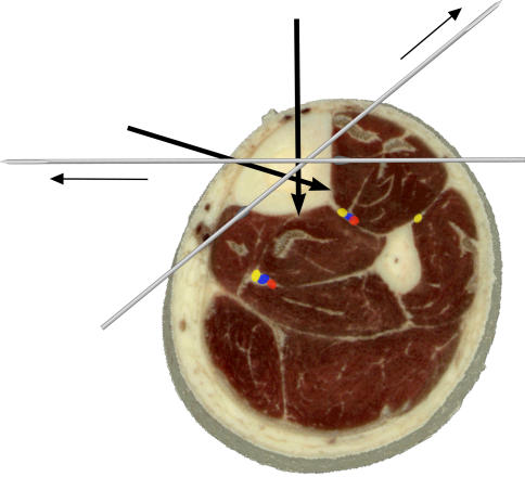 Fig. 6