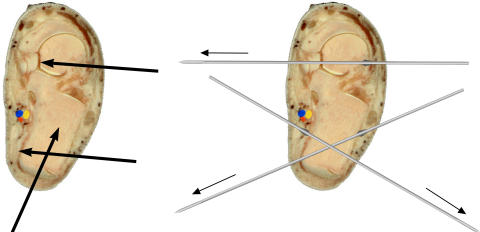 Fig. 9