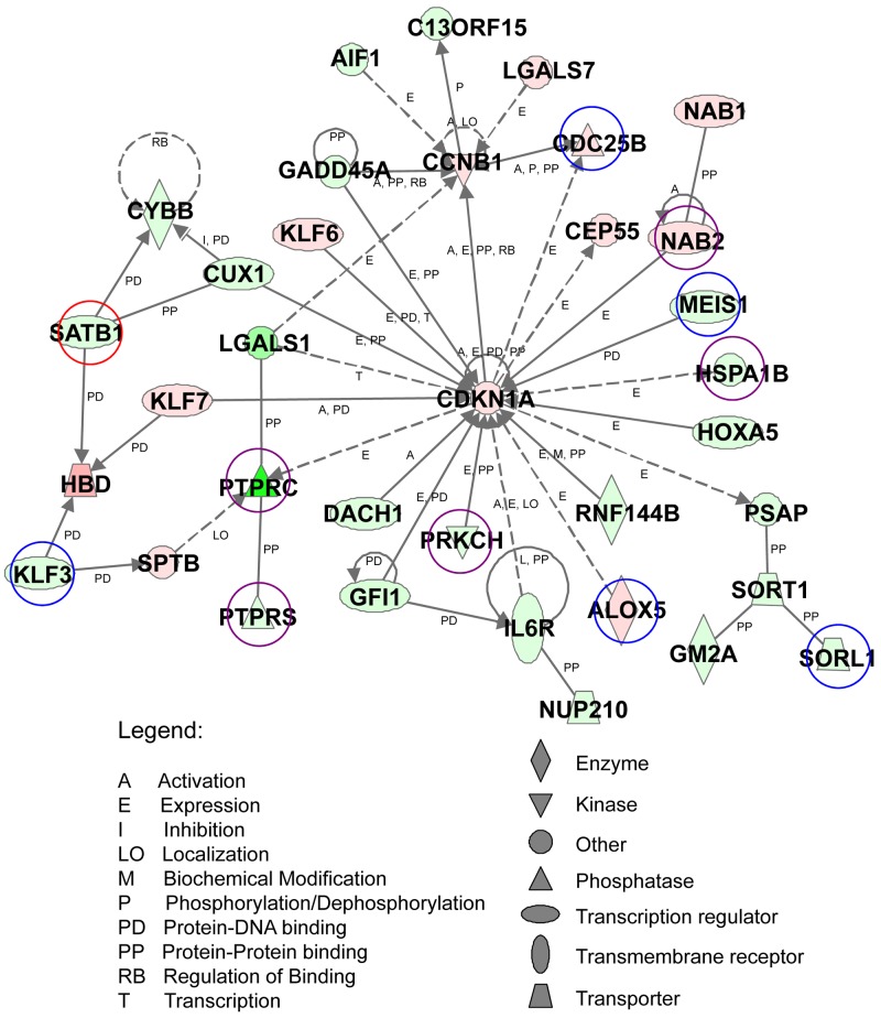 Combined gene expression and DNA occupancy profiling identifies potential therapeutic targets of t(8;21) AML.