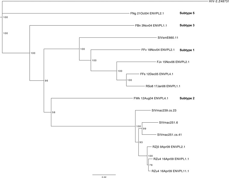 FIG 2