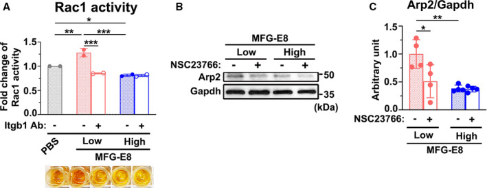 Figure 7