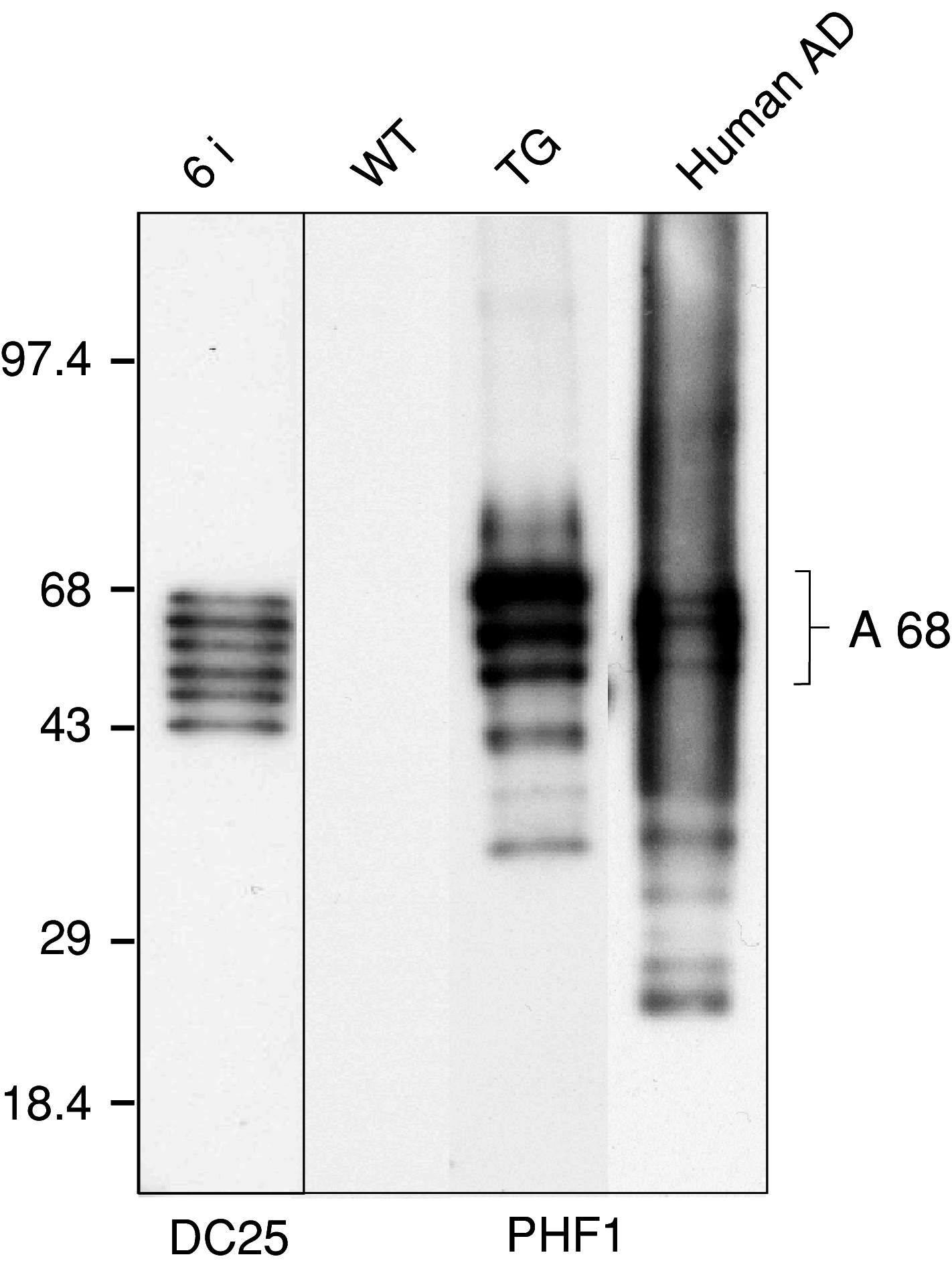 Fig. 2