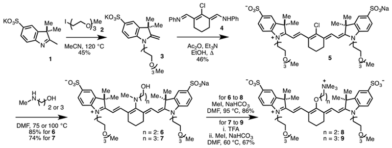 Scheme 1.