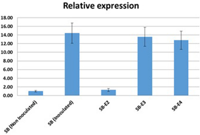 FIGURE 4