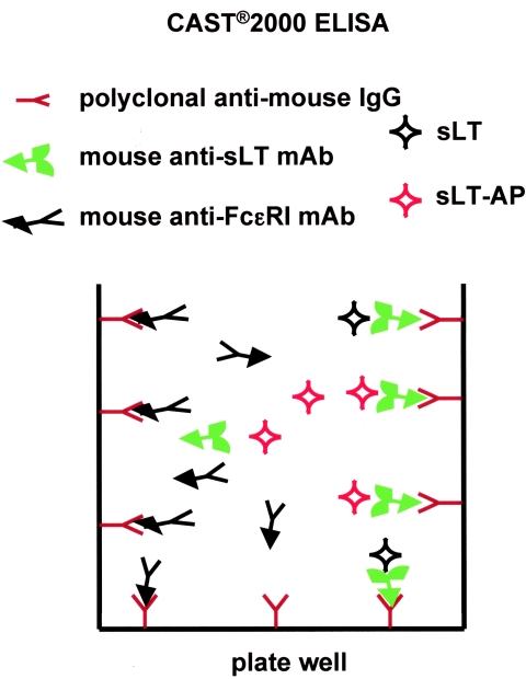 FIG. 2.