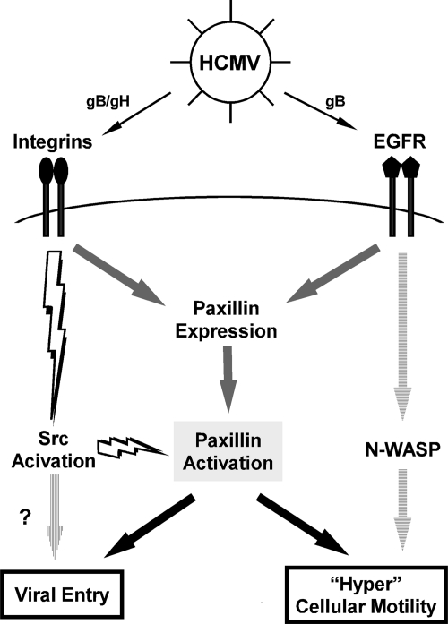 FIG. 8.