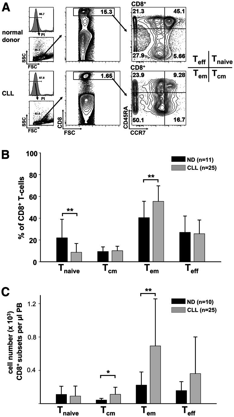 Fig. 3