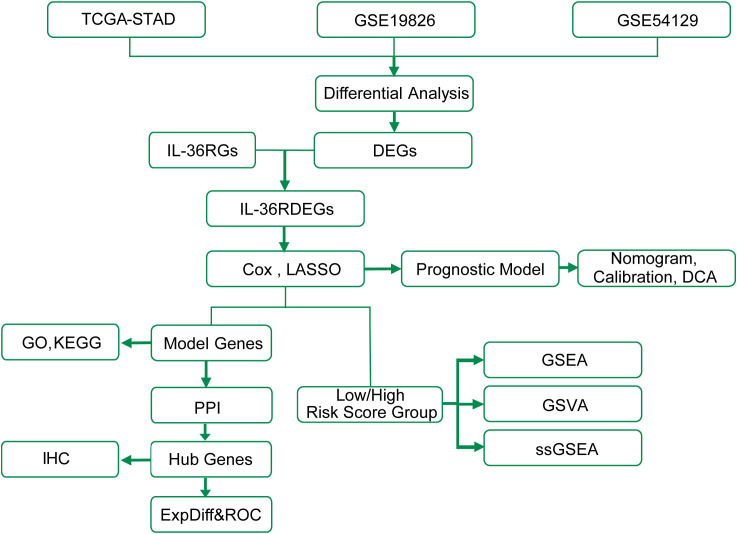 Figure 1