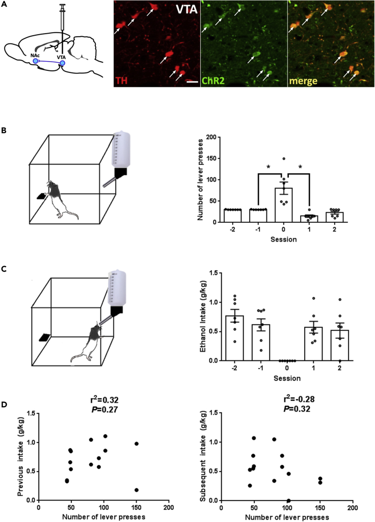 Figure 1