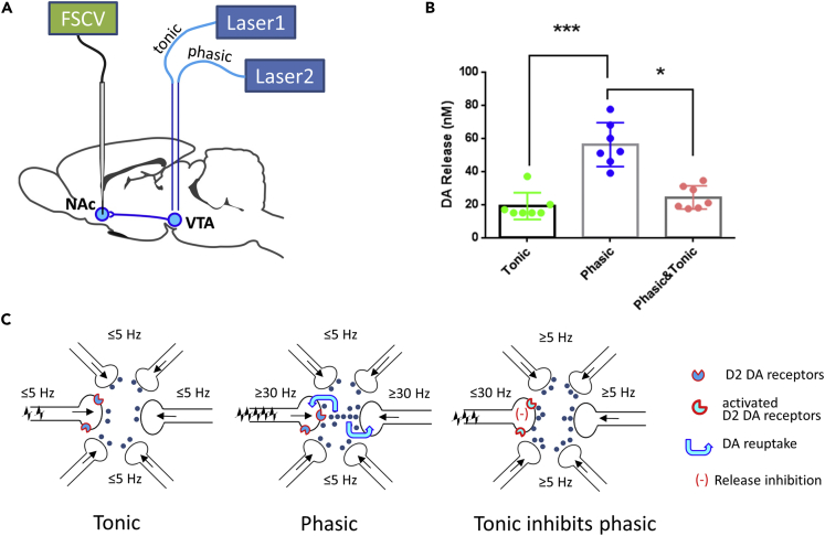 Figure 3