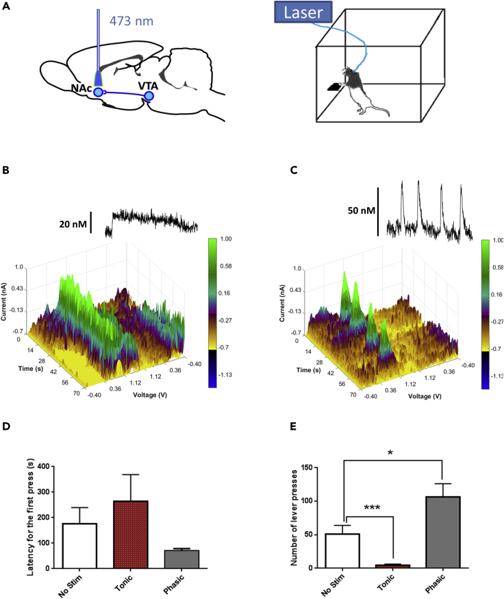 Figure 2