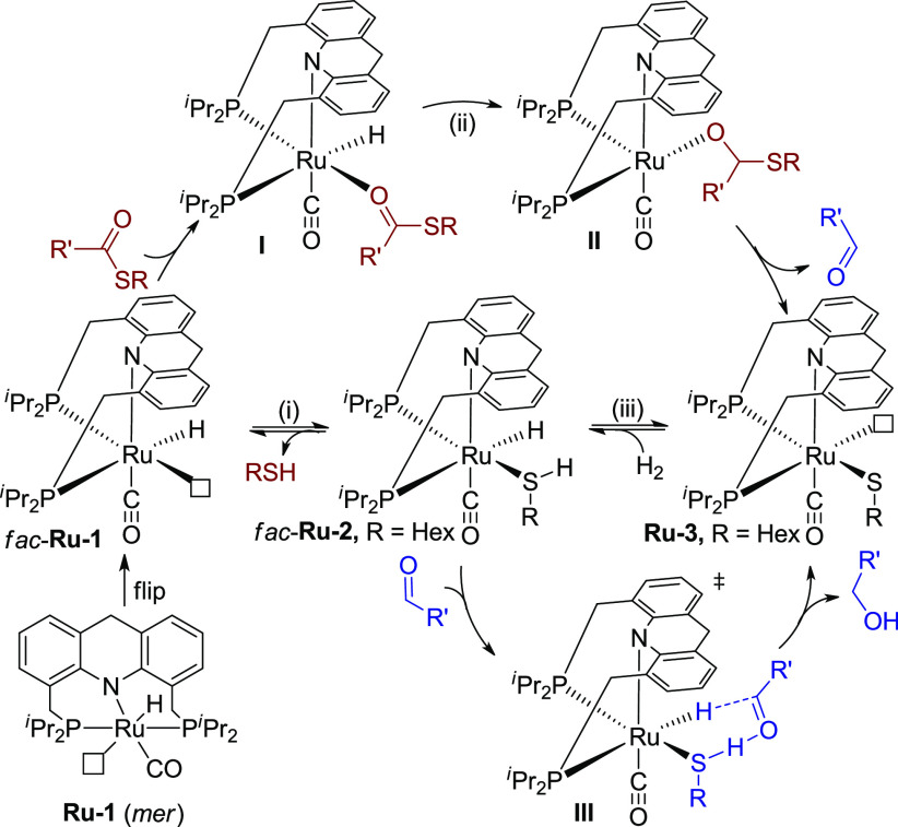 Scheme 3